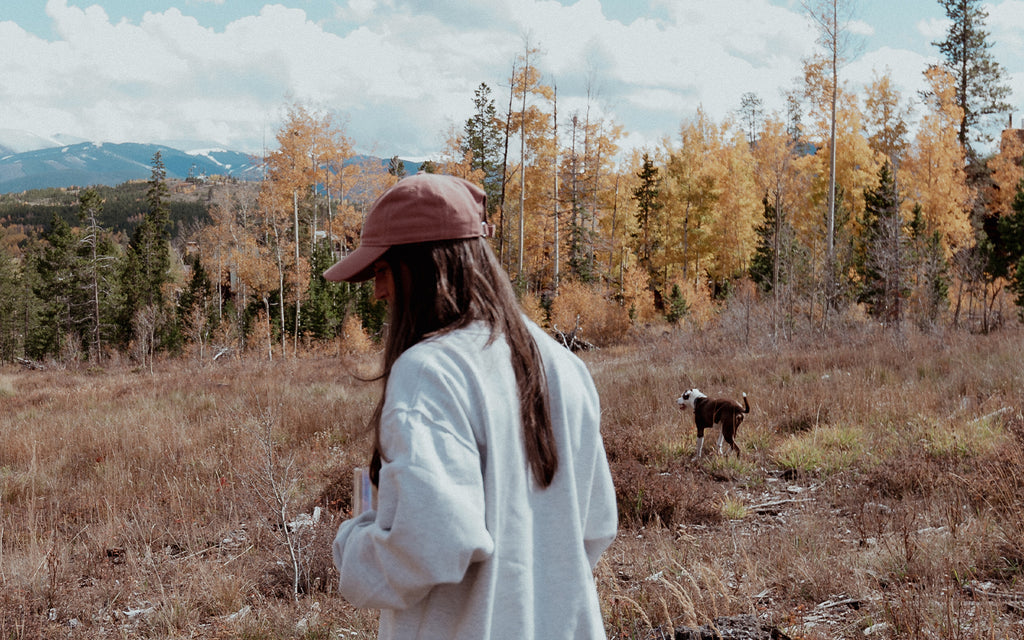 How to Enjoy the Fall Colors In Colorado